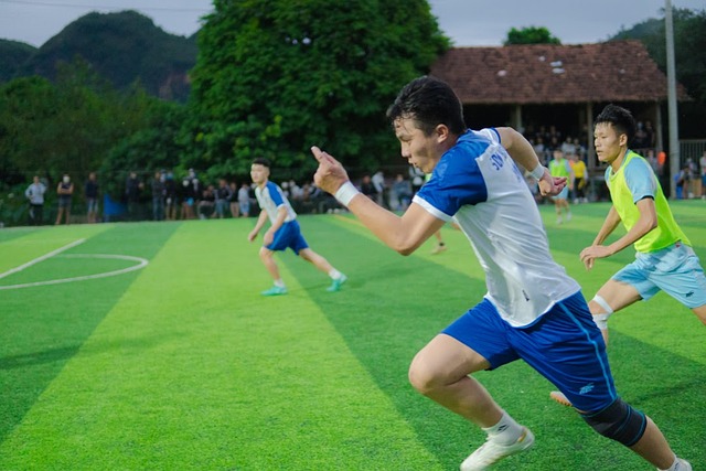 年在郊野公