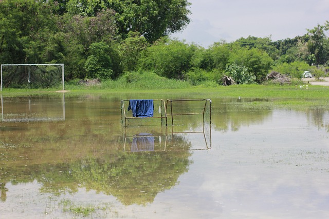 的情况下 的情况下